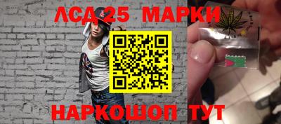скорость Кингисепп