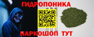 скорость Кингисепп