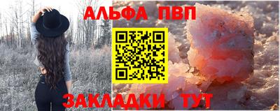 скорость Кингисепп