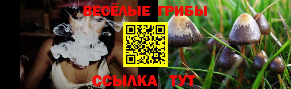 Красный Сулин  Галлюциногенные грибы Psilocybine cubensis  Вход с VPN 